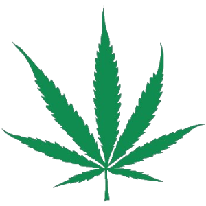 Cannabis PNG