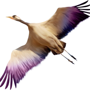 Bird PNG