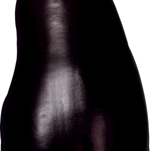 Eggplant PNG images free download