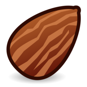 Almond PNG