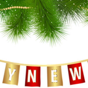 New Year PNG