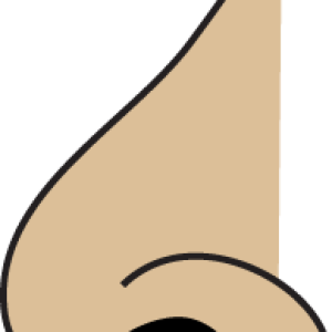Human nose PNG