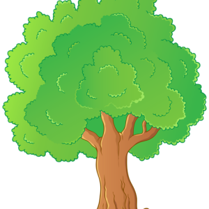 tree PNG