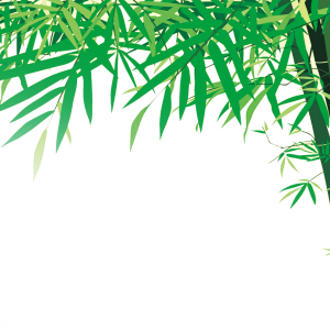 Bamboo PNG