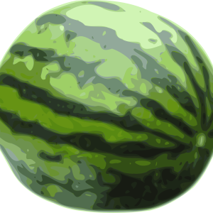 watermelon PNG image, picture, download