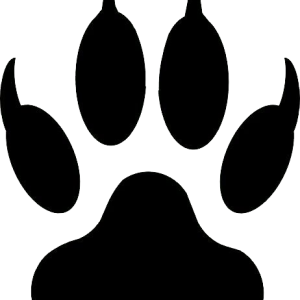 Paw PNG
