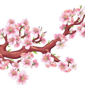 Sakura PNG