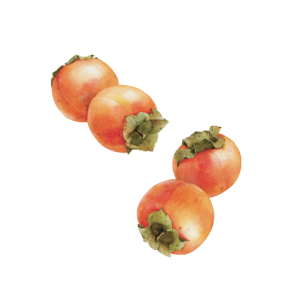 Persimmon PNG