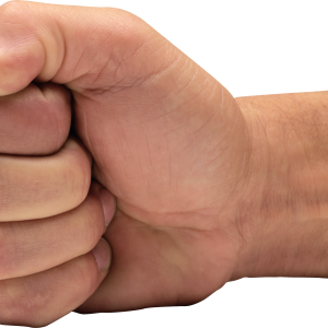 Fist PNG