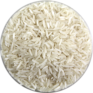 rice PNG
