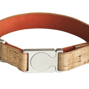 Dog collar PNG