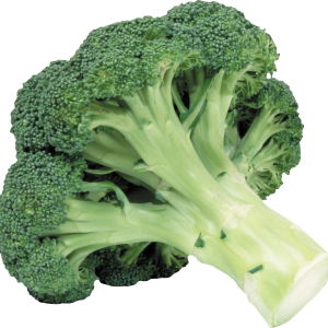 Broccoli PNG