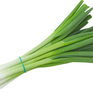 Leek PNG