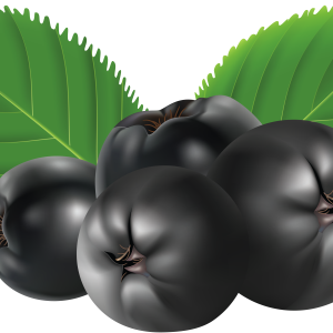 Blueberries PNG