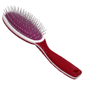 Hairbrush PNG