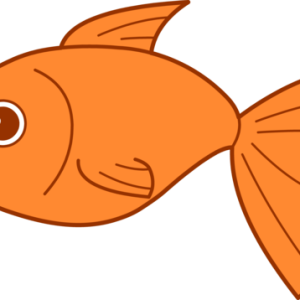 Goldfish PNG