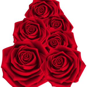 Rose PNG