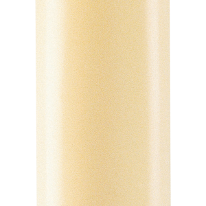 Bone PNG