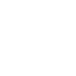 Walt Disney logo PNG