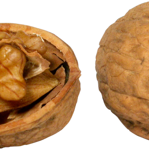 Walnut PNG