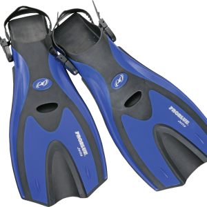 Flippers PNG