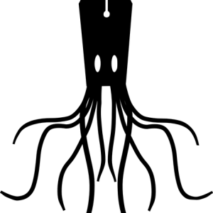 Squid PNG
