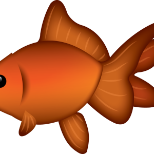 Goldfish PNG