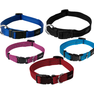 Dog collar PNG