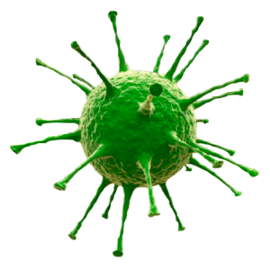 Virus PNG