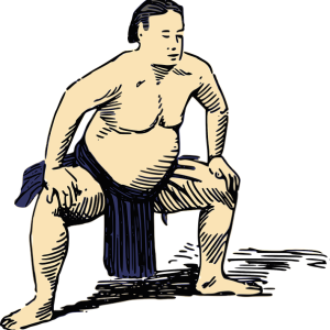 Sumo PNG