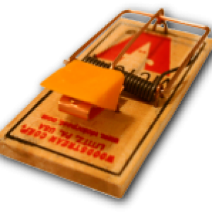 Mouse trap PNG