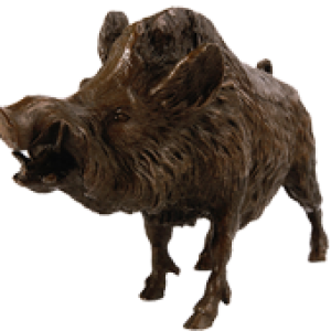 Boar PNG