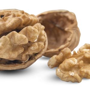 Walnut PNG