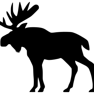 Moose, elk PNG