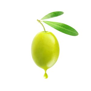 Olive PNG
