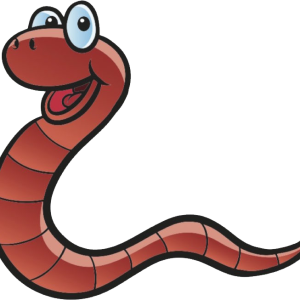 earthworm worm PNG