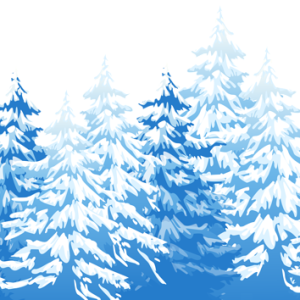 Winter forest PNG