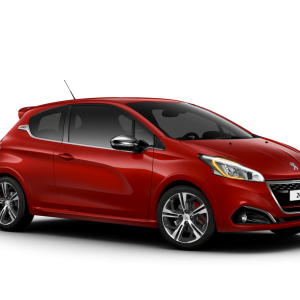 Peugeot PNG