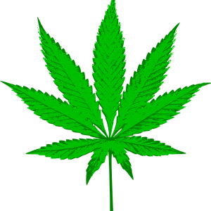 Cannabis PNG
