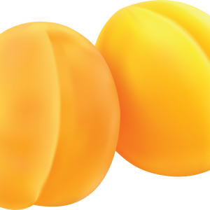 two yellow apricots PNG