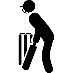 Cricket PNG