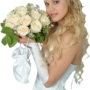 Bride PNG