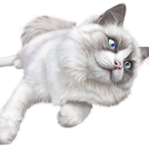 Cat lying PNG