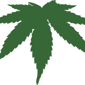 Cannabis PNG