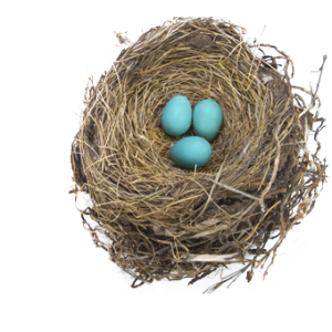 Nest PNG