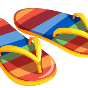 Flip-flops PNG