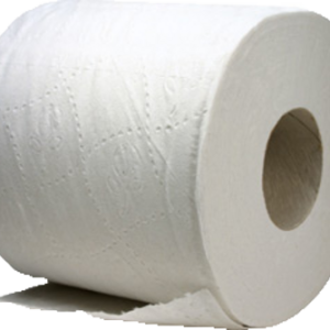 Toilet paper PNG