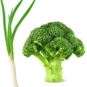 Broccoli PNG