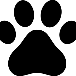 Paw PNG