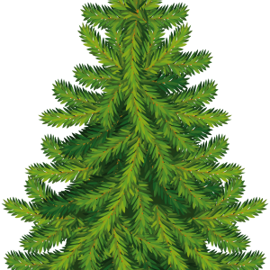 Fir-tree PNG image